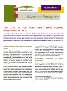 MFC Policy Paper No 4_Too Little or Too Much Credit_Small Business Indebtedness in the EU_2015