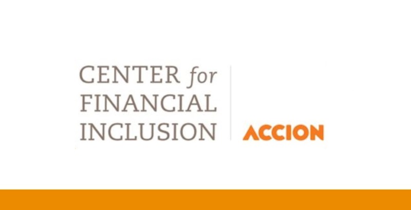 How Financial Institutions and Fintechs Are Partnering for Inclusion:  Lessons from the Frontlines