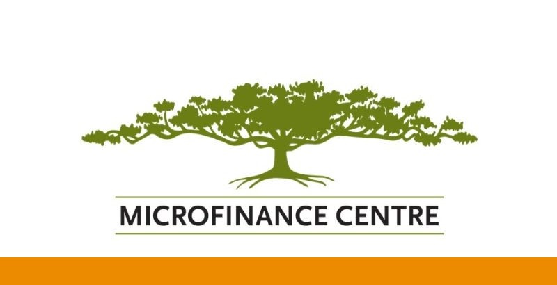 Digitalizing Microfinance in Europe