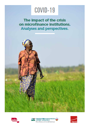 The Impact of the Crisis on Microfinance Institutions. The Analyses and Perspectives.