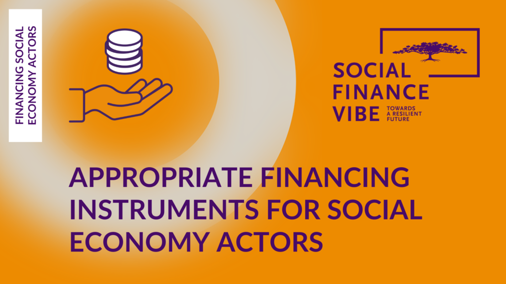 #SFV2022 Appropriate Financing Instruments for Social Economy Actors