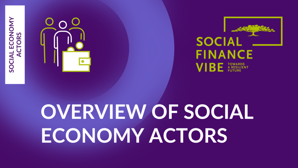 #SFV2022 Overview of Social Economy Actors