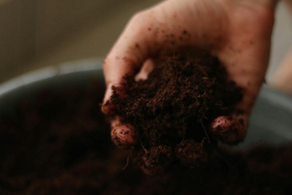 Life through soil! 