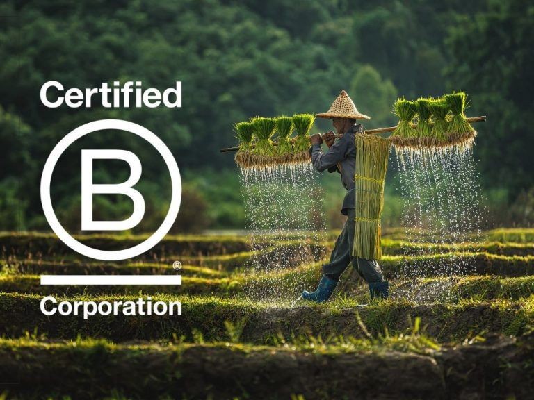 B Corp Month for our Members: Governance, Accountability, and Credible Impact